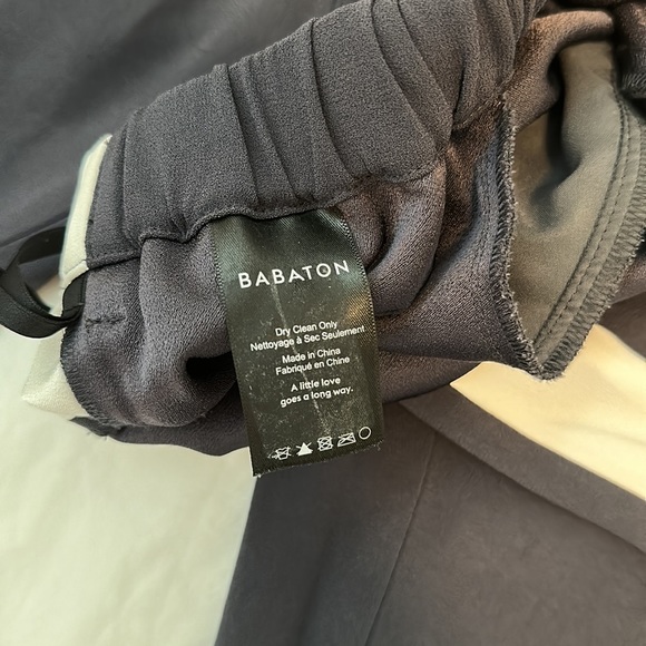 Aritzia Babaton Dexter Pants - Picture 6 of 6